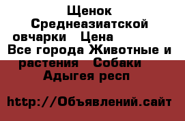 Щенок Среднеазиатской овчарки › Цена ­ 35 000 - Все города Животные и растения » Собаки   . Адыгея респ.